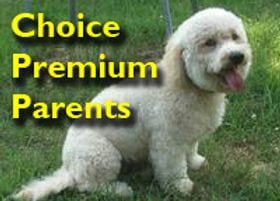choice parents