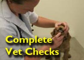 vet checks